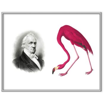 President Flamingo image